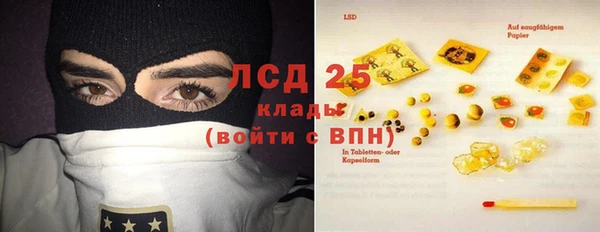 кокс Михайлов