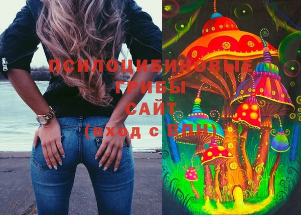 кокс Михайлов
