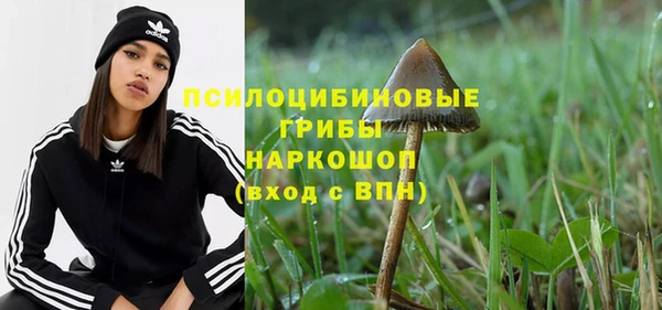 кокс Михайлов
