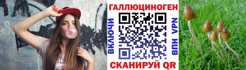 Галлюциногенные грибы Magic Shrooms  Славск 